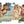 BIRTH OF VENUS 2000PCS PUZZLE BOTTICELLI