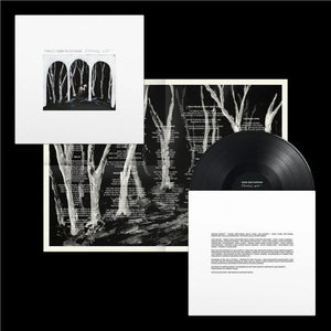 THESE NEW PURITANS | CROOKED WING (VINYL)