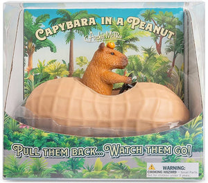CAPYBARA IN A PEANUT WIND UP RACER