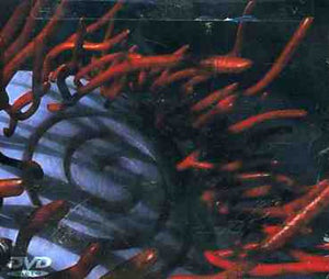 SCHISM (DIGI)