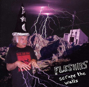 FLESHIES | SCRAPE THE WALLS
