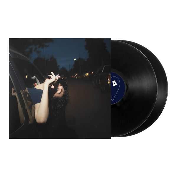 JANE REMOVER | HEART (2LP SET) (VINYL) – Real Groovy