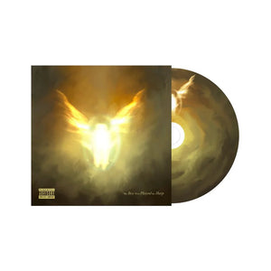 DAVE | BOY WHO PLAYED THE HARP