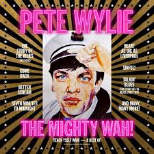 PETE WYLIE / AND THE MIGHTY WAH | TEACH YSELF WAH - THE BEST OF PETE WYLIE AND THE MIGHTY WAH (VINYL)