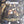 COMMON | CAN I BORROW A DOLLAR (VINYL)