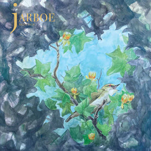 JARBOE | SIGHTINGS (GREEN EDITION) (VINYL)