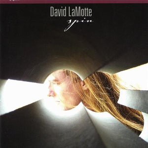 DAVID LAMOTTE | SPIN