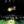 ALICE IN CHAINS | LIVE