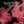 SEETHER | DISCLAIMER 2