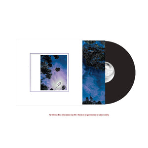 LOOK OUTSIDE YOUR WINDOW / SLIPKNOT | LOOK OUTSIDE YOUR WINDOW (VINYL)