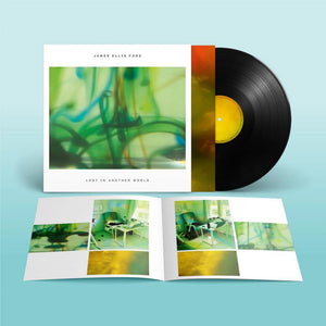 JAMES ELLIS FORD | LOST IN ANOTHER WORLD (VINYL)