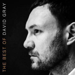 DAVID GRAY | BEST OF (2LP SET) (VINYL)