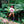 MAPLE GLIDER | I GET INTO TROUBLE (PINK EDITION) (VINYL)