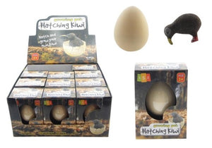 HATCHING KIWI EGG GROW SET