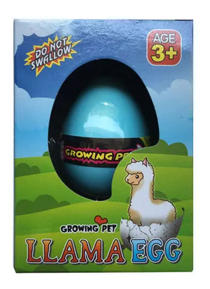 GROWING LLAMA IN EGG HATCHEM BOX