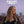 KAYLEE BELL | NIGHTS LIKE THIS (VINYL)