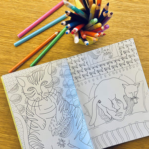 BRAINS VAL | CAT BUTT COLOURING AND ACTIVITY BOOK