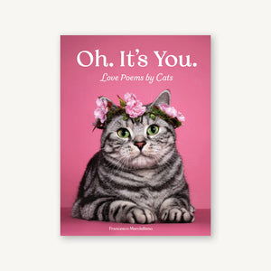 MARCIULIANO FRANCES | OH ITS YOU LOVE POEMS BY CATS