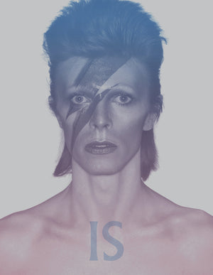 BROAKES VICTORIA / MARSH GEOFFREY | DAVID BOWIE IS