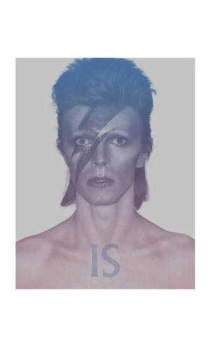 BROAKES VICTORIA / MARSH GEOFFREY | DAVID BOWIE IS