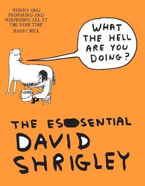 SHRIGLEY DAVID | WHAT THE HELL ARE YOU DOING ESSENTIAL DAVID SHRIGLEY
