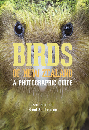 SCHOFIELD PAUL | BIRDS OF NEW ZEALAND