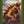 DUNGEONS AND DRAGONS | DUNGEONS AND DRAGONS BEASTS AND BEHEMOTHS D&D