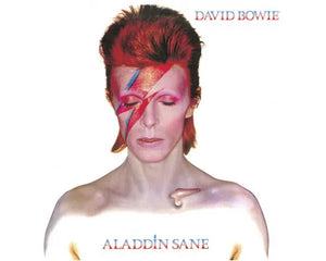 DAVID BOWIE CANVAS ART 40X40