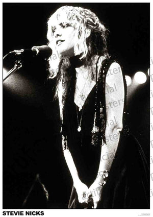 STEVIE NICKS SPOTLIGHTS POSTER 261