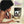 MAIN INGREDIENT | AFRODISIAC