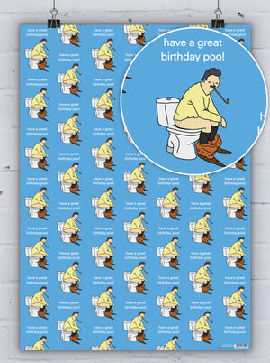 BIRTHDAY POO WRAPPING PAPER GIFT WRAP (2 SHEETS FOLDED)