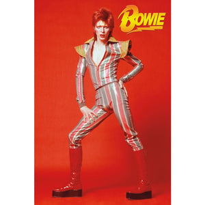 DAVID BOWIE GLAM RED POSTER 324