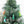 NATIVE BIRD ORNAMENTS BOX CHRISTMAS
