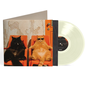 BOO SEEKER | CIGARETTES ON SUNDOWN (2LP SET) (VINYL)