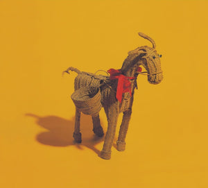 CARTER THE UNSTOPPABLE SEX MACHINE | STRAW DONKEY - THE COMPLETE SINGLES (2LP SET0 (VINYL)