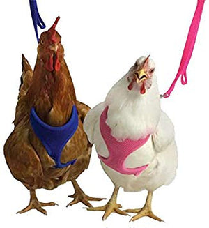 MOVIE FA | CHICKEN RUN