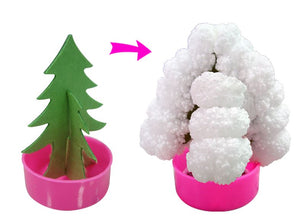 MAGIC FLOWER GROWING CRYSTAL TREE