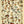 SHROOM ID CHART MAXI POSTER MUSHROOMS CHAMPIGNON 284