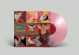THOMAS DOLLBAUM | BIRDS OF PARADISE (PINK EDITION) (VINYL)