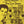 ELVIS PRESLEY | SUN YEARS - US