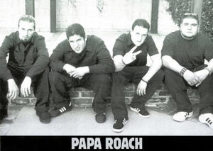PAPA ROACH RARE BAND POSTER 265