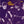 EVERLY BROTHERS | EB84 - NZ / AUS - RIP ON COVER