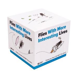 FLIES WITH MORE INTERESTING LIVES DRAWING GAME