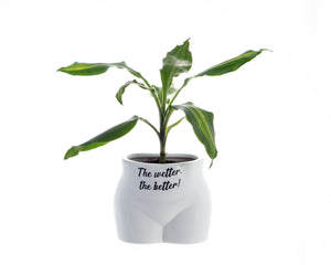 WETTER THE BETTER POT PLANTER FEMALE BOTTOM