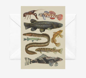 FRESHWATER FISH GREETING CARD  - NZ ARTIST TANYA WOLFKAMP