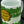 POLYJUICE POTION HARRY POTTER MUG