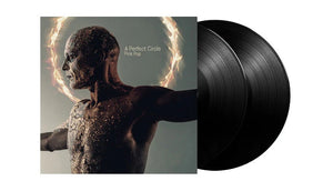 PERFECT CIRCLE | PINK POP (2LP) (VINYL)