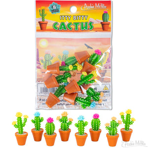 ITTY BITTY CACTUS 8 PACK