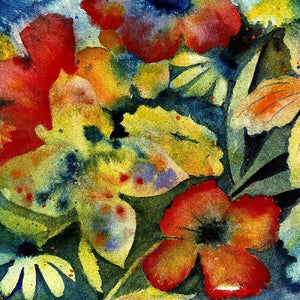 ADRIANNE LENKER / BIG THIEF | SONGS AND INSTRUMENTALS (2LP SET) (VINYL)