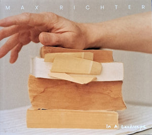 MAX RICHTER | IN A LANDSCAPE (SOFTPACK)
